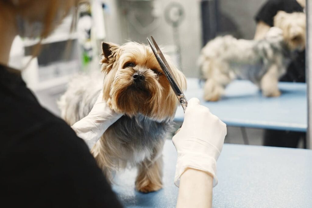 how do you get nail polish off a dogs nails